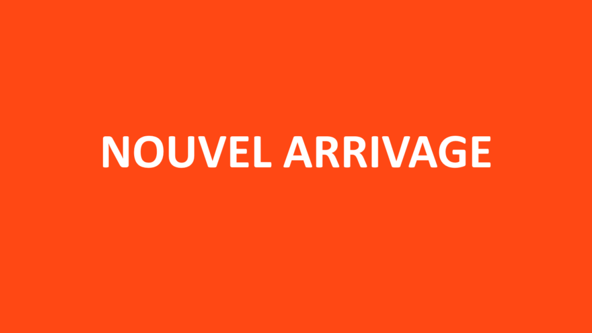 Tout-terrain Tout-terrain